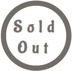 Giant Silver Mullein - Verbascum Bombyciferum