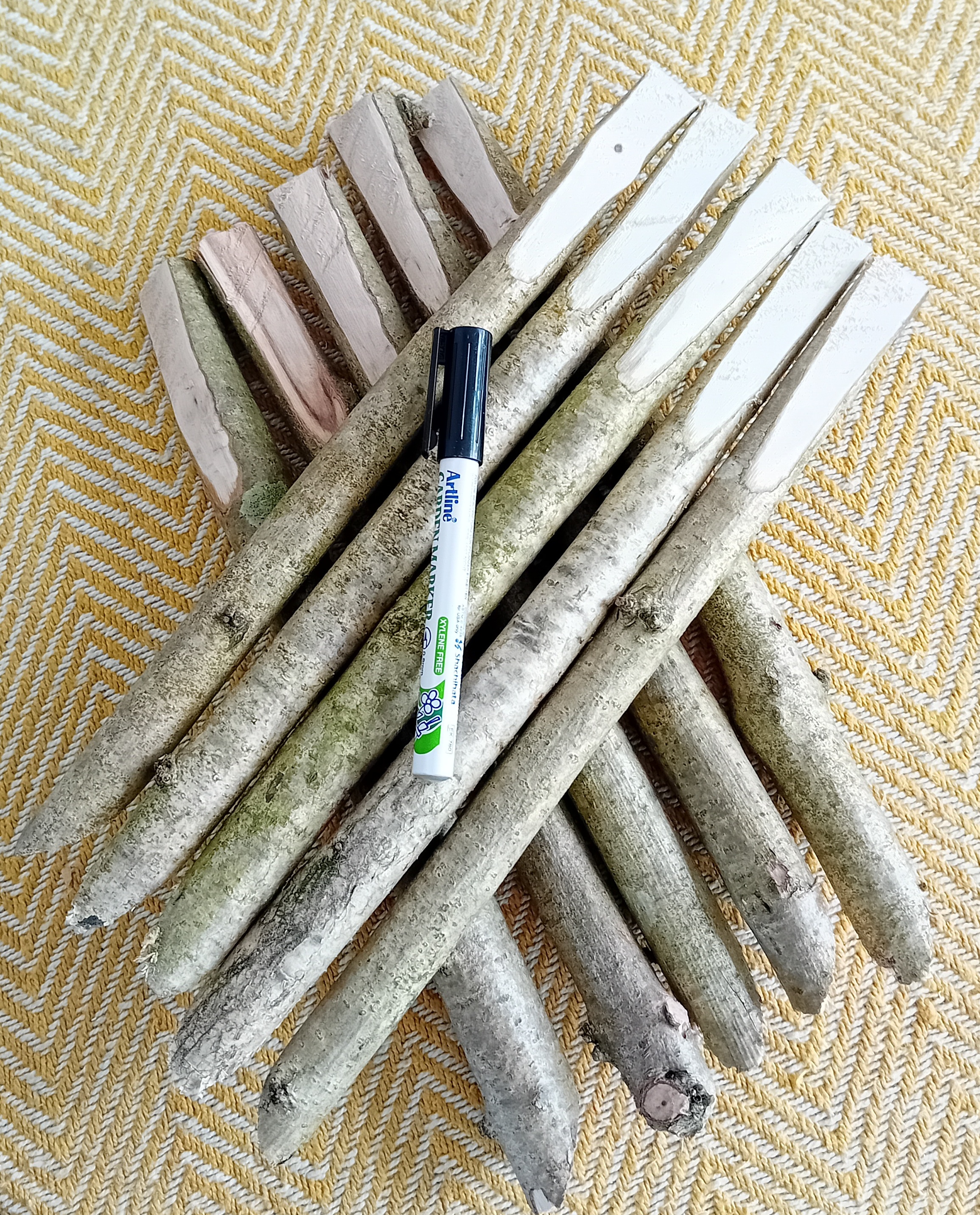 Plant markers 1