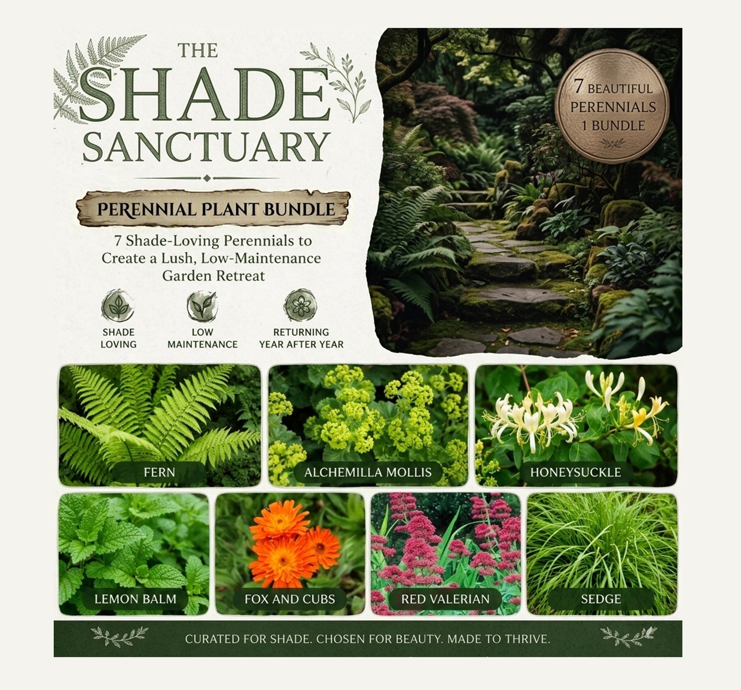 THE SHADE SANCTUARY Perennial Plant Bundle: Ferns,
Alchemilla mollis, Honeysuckle, Lemon balm, Red valerian,
Fox and Cubs, Sedge 